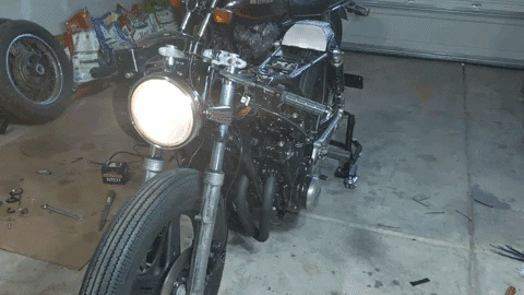 marshallhewitt giphyupload GIF