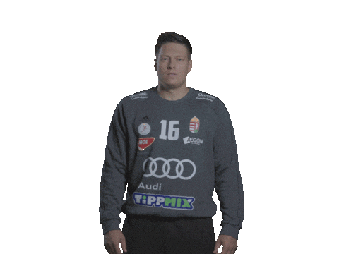 Hungary Kézilabda Sticker by Watch Games. See More.