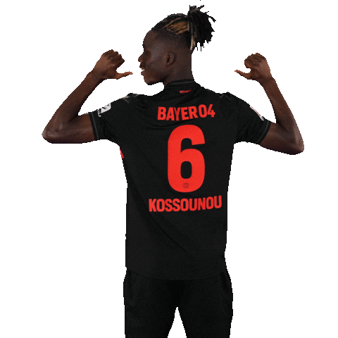 Bayer 04 Football Sticker by Bayer 04 Leverkusen