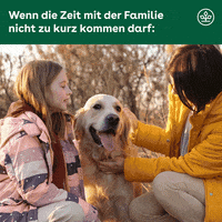 Dog Meme GIF by AOK Niedersachsen