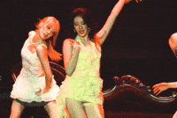 Havana GIF