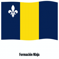 Flag Spain GIF by Formación Ninja
