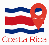 AIWA_Latam love music tv instagram GIF
