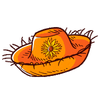 Festa Junina Insta Sticker