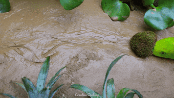 Stop Motion Animation GIF by CreativeCooking