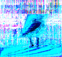 glitch GIF by Cosmic Evil