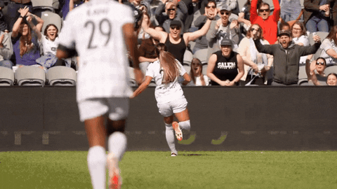 Womens Soccer Sport GIF by National Women's Soccer League