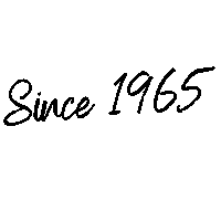 Jugyik Sticker by Diákhálózat
