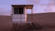 Happy Beach GIF by Sony Music Africa