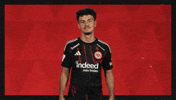 Eintracht Frankfurt Football GIF by Bundesliga