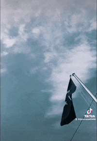 Faragalnemr GIF