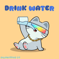 Drink Up GIF by Silly Kitties