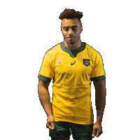 Lets Go Rugby Sticker by Wallabies Official
