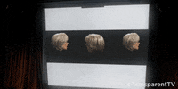 season 3 GIF by Transparent