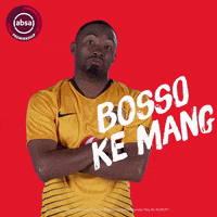 south african soccer GIF