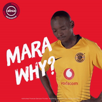 south african soccer GIF