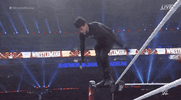 Bad Bunny Sport GIF by WWE