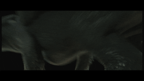 Run Running GIF by How To Train Your Dragon