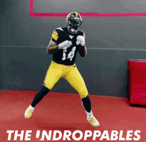 George Steelers GIF by The Undroppables