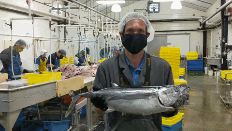 wpet giphyupload GIF