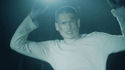 michael scofield fox GIF by Prison Break