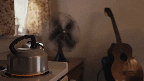 antirecords giphygifmaker music tea musicvideo GIF