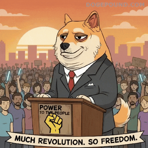 Shiba Inu Brand GIF by Doge Pound