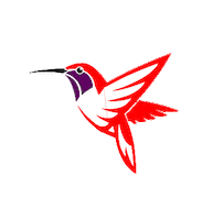 Kolibri Sticker