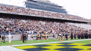 Navy Football GIF by Navy Athletics