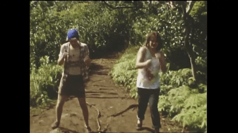 jeff the brotherhood fighting GIF by Infinity Cat Recordings