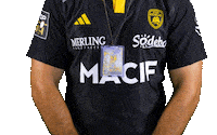 Rugby Favre Sticker by Stade Rochelais