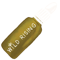 Stay Wild Feist Sticker