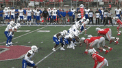 Ohio State Buckeyes Football GIF by Ohio State Athletics
