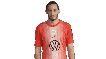 Football Love Sticker by VfL Wolfsburg