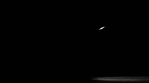 Wolves Swinging Light GIF by Kanye West