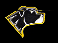 riopretoweilersfa futebolamericano weilers rio preto weilers riopretoweilers GIF