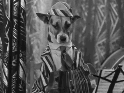 Musician Accordion GIF by Warner Archive