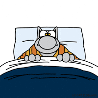 geluck sleepy good night sweet dreams bedtime GIF