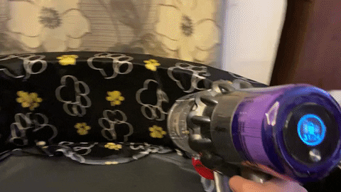 nandiniy giphyupload dyson GIF