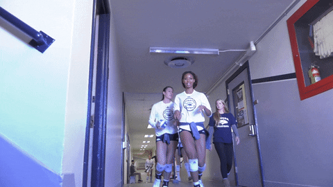 NevadaWolfPack giphyupload college ncaa volleyball GIF