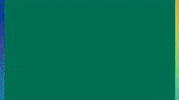 Uvm Rally Together GIF by University of Vermont