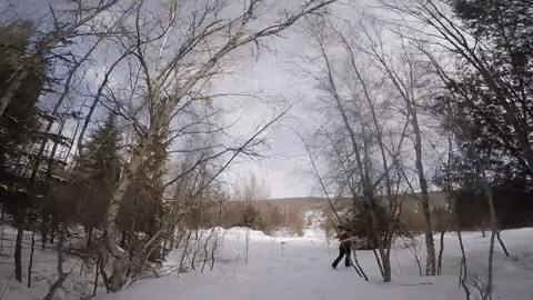 snow winter GIF