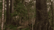 HallmarkChannel hallmark channel spring fever bottled with love hcbwl0413 GIF