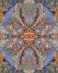 Art Kaleidoscope GIF by Luis Ricardo