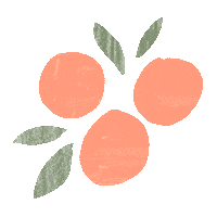 louisegouet orange fruit peach oranges Sticker