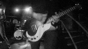music video guitar GIF by Infinity Cat Recordings