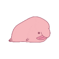 Happy Swim Sticker