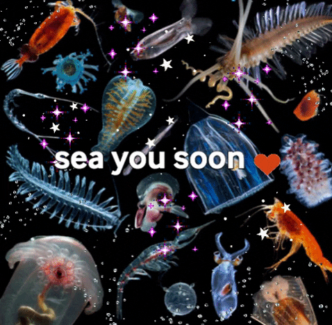 See You Soon Sea GIF by EMBL