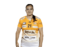 Floorball Pfeil Sticker by Piranha Chur