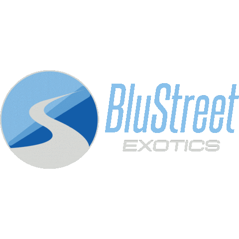 Exotic Car Sticker by BluStreet